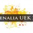 Juwenalia UEK – program + bilety na Modestep!
