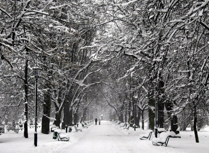 Park Jordana zimą